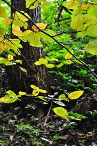 Підмонастир з panoramio.com