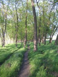 Хроли з panoramio.com