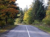 Пшеничники з panoramio.com - Пшеничники