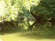 Воробіївка з panoramio.com