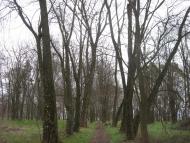 Переможне з panoramio.com