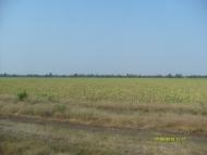 Долинське з panoramio.com