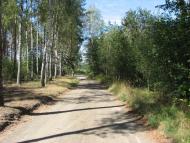 Рудня-Городищенська з panoramio.com