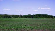 Чехівка з panoramio.com - Чеховка