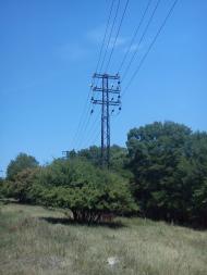 Каштанове з panoramio.com