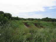 Каштанове з panoramio.com