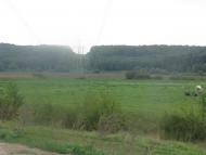 Прилужне з panoramio.com