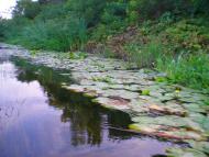 Михайлівка з panoramio.com