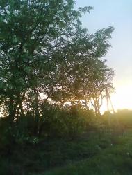 Галяве з panoramio.com