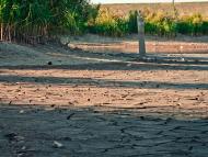 Калинове з panoramio.com