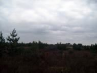 Вишняки з panoramio.com - Вишняки