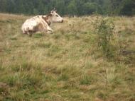 Пилипи з panoramio.com