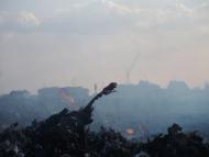 Фурси з panoramio.com