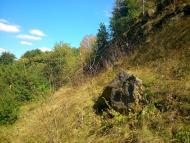 Прибузьке з panoramio.com