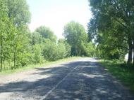 Михалківці з panoramio.com