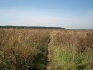 Загальці з panoramio.com