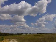 Шевченкове з panoramio.com