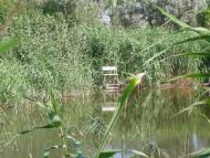 Пересадівка з panoramio.com