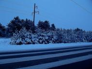 Олександрія - Останні фото