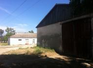 Дрофине з panoramio.com