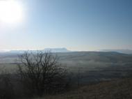 Топольне з panoramio.com