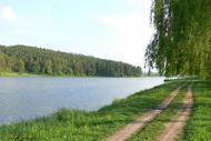 Бриків з panoramio.com