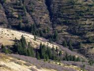 Сітний з panoramio.com