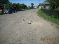 Копанки з panoramio.com