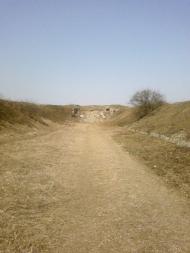 Великий Омеляник з panoramio.com