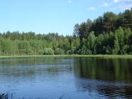 Гута-Ткачова з panoramio.com