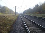 Рідкодуби з panoramio.com