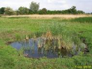 Миколаївка з panoramio.com