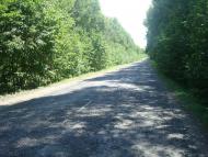 Михалківці з panoramio.com