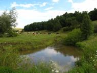 Покутине з panoramio.com