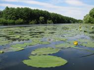 Урожайне з panoramio.com