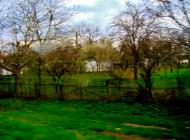 Лука з panoramio.com