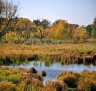 Сквира з panoramio.com