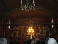 Говтвянчик - Останні фото