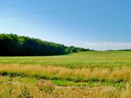 Багачівка - Останні фото