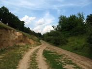 Хоменки з panoramio.com