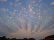 Кустолові Кущі з panoramio.com