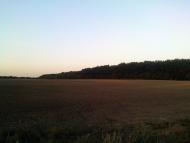 Тишківка з panoramio.com