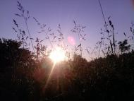 Грабівці з panoramio.com