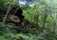 Слобода-Бушанська з panoramio.com