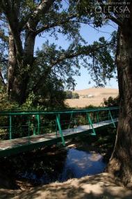 Айвове з panoramio.com