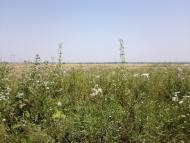 Ганнівці з panoramio.com