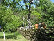 Розваж з panoramio.com