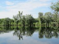 Дробишів з panoramio.com