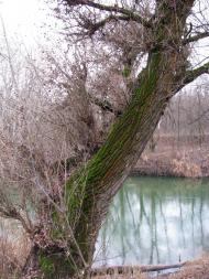 Передільське з panoramio.com