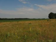 Семирічка з panoramio.com